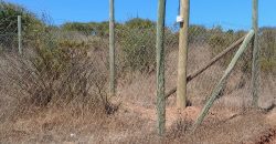 Se Vende Excelente Parcela en Lagunillas de Casablanca. (5.000 m2)
